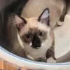 elizabeth.delrey1