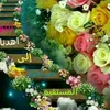 user8168101721720