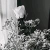 anisah_320