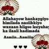 idilmohamedabdi7