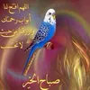 nasima.nh34