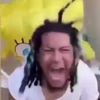 friedchickencam
