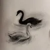 swanla22