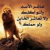 user8433671930507