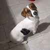 miloemax..ofc