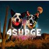 4Surge Cattle Dogs