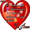 avilez470