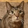 itapinky69