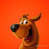 samdc_001