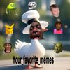 your_favorite_memes