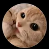 chipppp81007