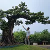 loccaycongtrinh