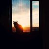 milton.garca30