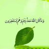 mohammer.ageel