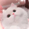 xinhvilawibu