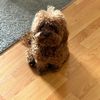 noodles0222