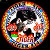 414_tiger