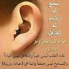 frehamohamed8