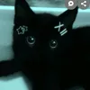 polyusha6