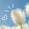 user9255528787122
