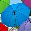 user7390141071746