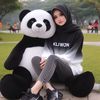 simpeng6