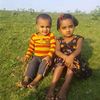 joynalabedin459190
