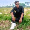 mdamirhamza3743