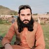 umarwaziristani71