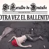 showbigalfa