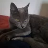 thebabyuki