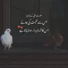 zoyah