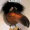 iiovidlo