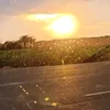 ss_na657