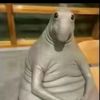zorxaw