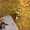 cristiany_monteiro23