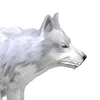 angry_user02