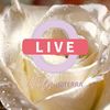 adyna753