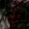 t_ot2005