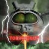 tortoisguy