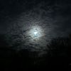izzaldin_1