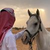 sultanoo43