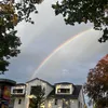 vik_ysik