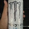 gansmr0