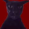 bendz234