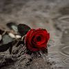 user2858713163007