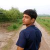 shaanpoetry311