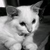 nazmaa3_