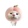kitty010_05