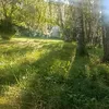 taya_z66